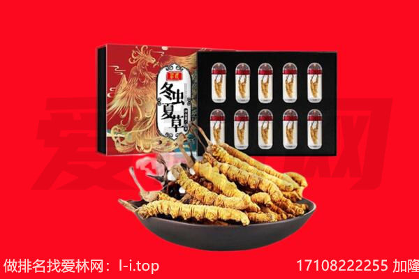扬州回收虫草.jpg